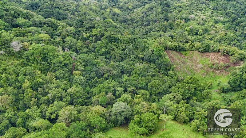 177 acre Ocean view property with multiple plantels, unspoiled mountain, jungle, river and waterfall areas — view 10, Puerto Cortés, Osa, Costa Rica
