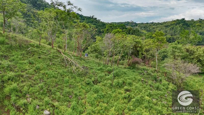 177 acre Ocean view property with multiple plantels, unspoiled mountain, jungle, river and waterfall areas — view 14, Puerto Cortés, Osa, Costa Rica
