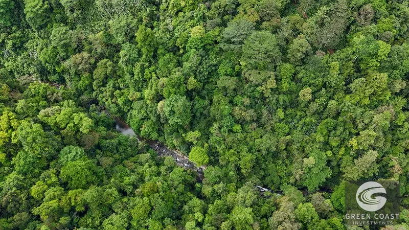 A Huge Rainforest, River & Waterfall Property With TWO Mountain & Jungle-View Luxury Homes on a Massive 4.93 Acre Lot – PLUS an Additional Plantel ready for Dev