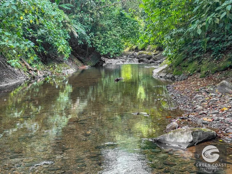 A Huge Rainforest, River & Waterfall Property With TWO Mountain & Jungle-View Luxury Homes on a Massive 4.93 Acre Lot – PLUS an Additional Plantel ready for Dev