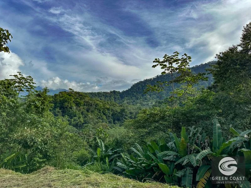 A Huge Rainforest, River & Waterfall Property With TWO Mountain & Jungle-View Luxury Homes on a Massive 4.93 Acre Lot – PLUS an Additional Plantel ready for Dev