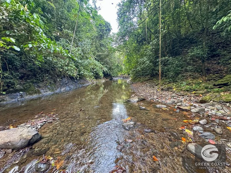 A Huge Rainforest, River & Waterfall Property With TWO Mountain & Jungle-View Luxury Homes on a Massive 4.93 Acre Lot – PLUS an Additional Plantel ready for Dev