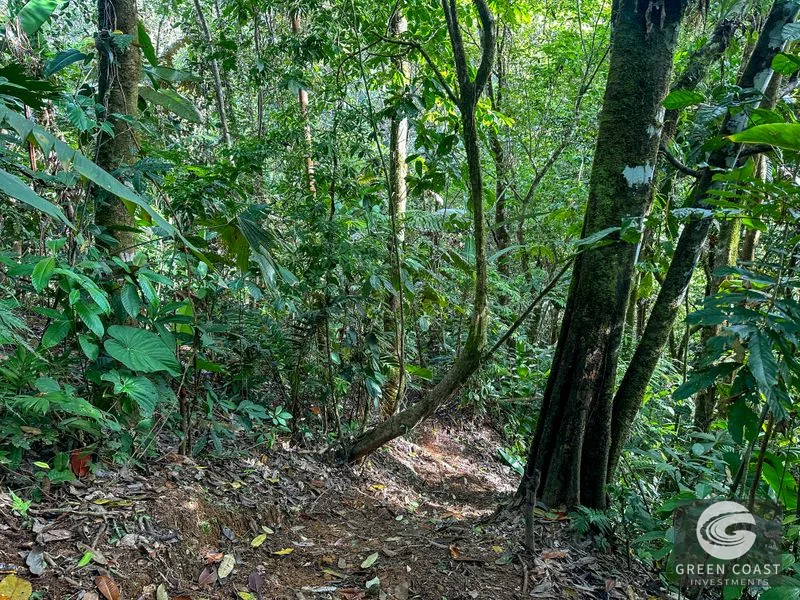 A Huge Rainforest, River & Waterfall Property With TWO Mountain & Jungle-View Luxury Homes on a Massive 4.93 Acre Lot – PLUS an Additional Plantel ready for Dev