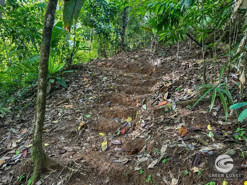 A Huge Rainforest, River & Waterfall Property With TWO Mountain & Jungle-View Luxury Homes on a Massive 4.93 Acre Lot – PLUS an Additional Plantel ready for Dev