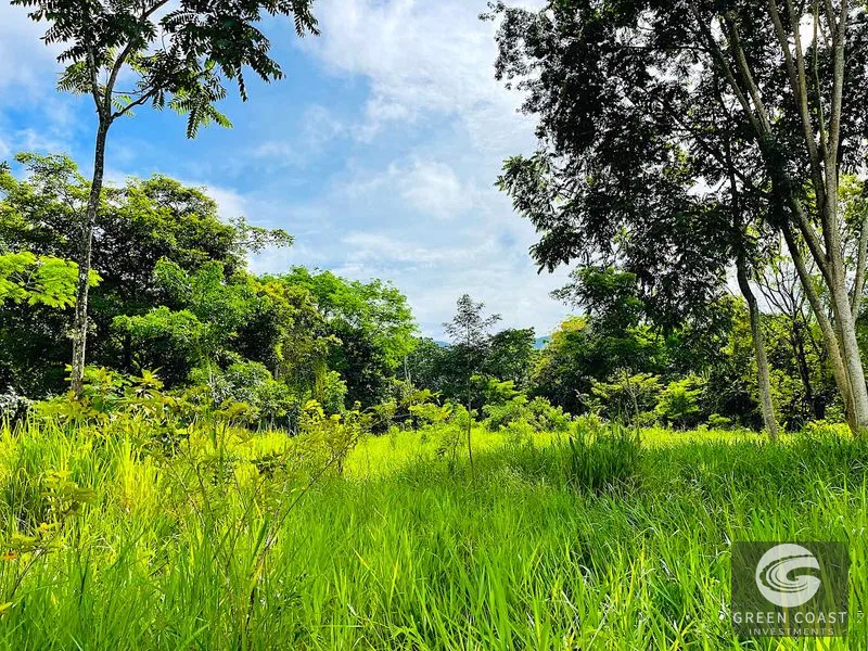 Uvita Development Gem: 10.67 Acres for Visionary Residential & Commercial Projects — view 12, Uvita, Osa, Costa Rica