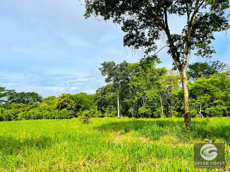 Uvita Development Gem: 10.67 Acres for Visionary Residential & Commercial Projects — view 14, Uvita, Osa, Costa Rica