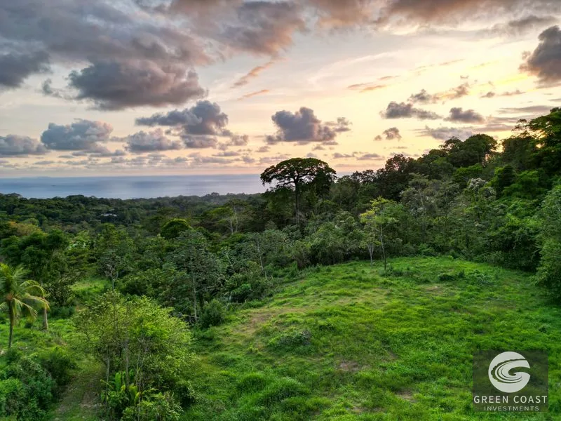Uvita Ocean-View Estate: 15.9 Acres, Legal Water & Electric, 5 Mins to Highway — view 1, Uvita, Costa Rica