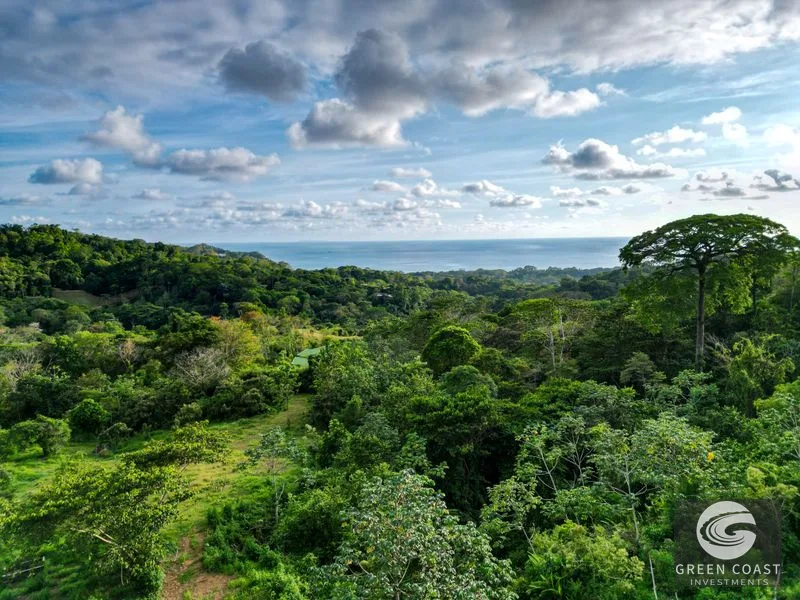 Uvita Ocean-View Estate: 15.9 Acres, Legal Water & Electric, 5 Mins to Highway — view 7, Uvita, Costa Rica