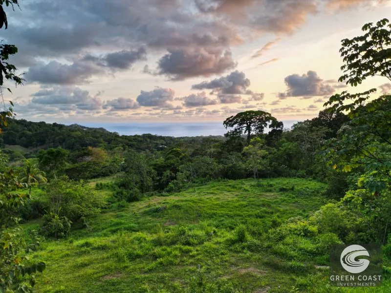 Uvita Ocean-View Estate: 15.9 Acres, Legal Water & Electric, 5 Mins to Highway — view 8, Uvita, Costa Rica