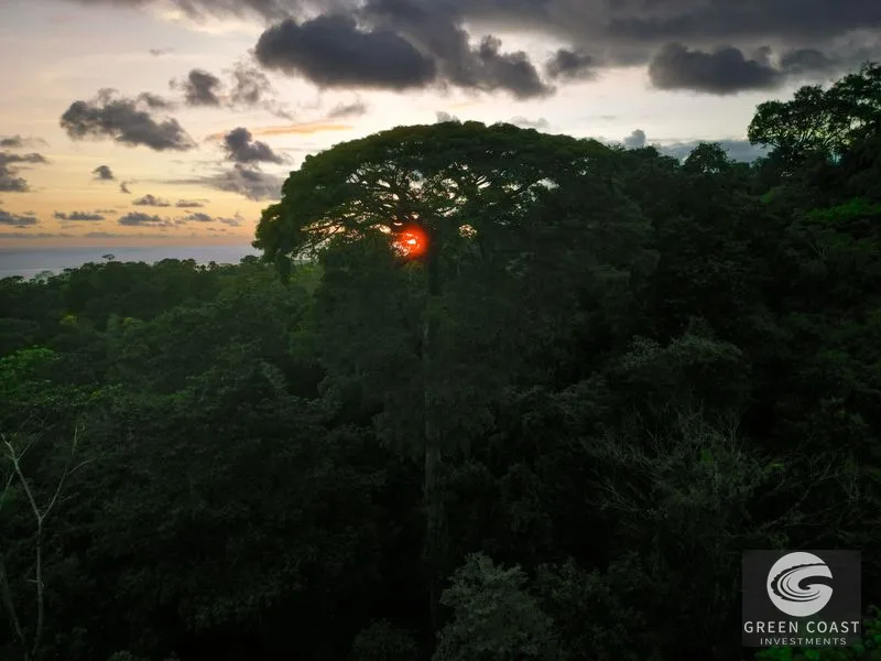 Uvita Ocean-View Estate: 15.9 Acres, Legal Water & Electric, 5 Mins to Highway — view 11, Uvita, Costa Rica