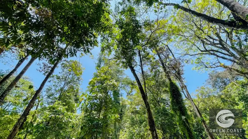Riverfront Estate with Multiple Homes & Expansion Potential in Ojochal — view 88, Ojochal, Ojochal, Costa Rica