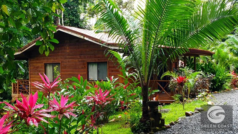 Uvita Jungle Oasis: 8 Furnished Cabinas, Pool & Expansion Potential – Walk to Amenities! — view 13, Costa Rica, Costa Rica