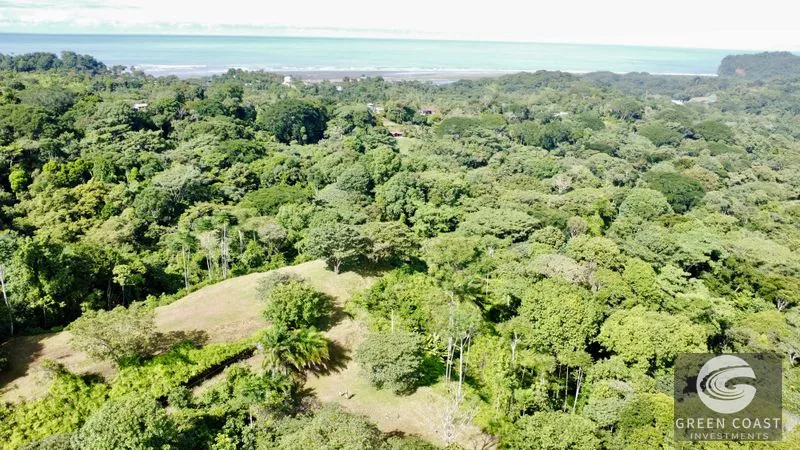 Sunset Ocean View Estate Lots in Ojochal: Ready-to-Build Dream Homes or Eco-Lodge — view 1, Costa Rica, Costa Rica