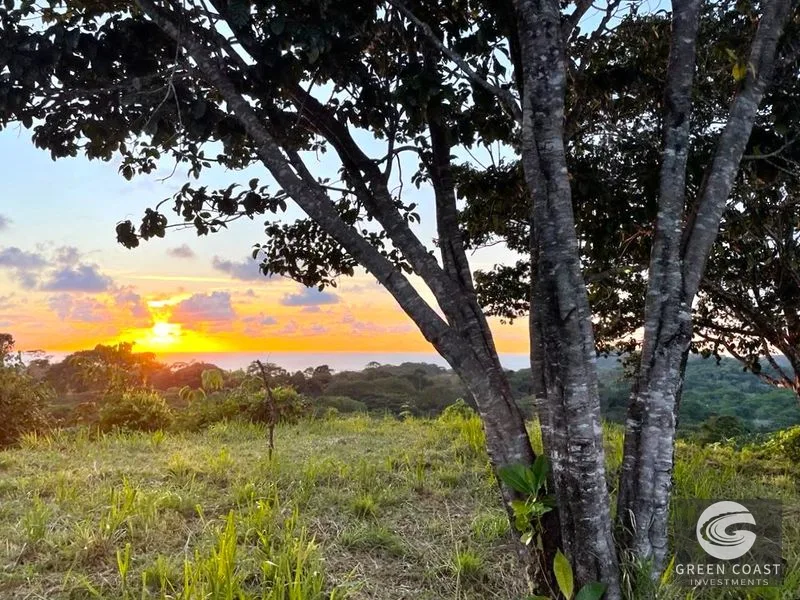 Sunset Ocean View Estate Lots in Ojochal: Ready-to-Build Dream Homes or Eco-Lodge — view 10, Costa Rica, Costa Rica