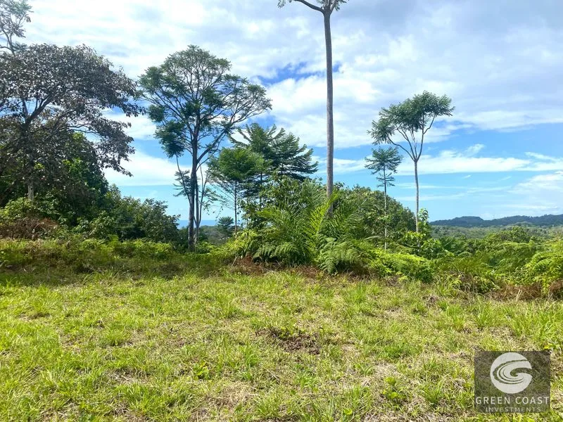 Sunset Ocean View Estate Lots in Ojochal: Ready-to-Build Dream Homes or Eco-Lodge — view 13, Costa Rica, Costa Rica