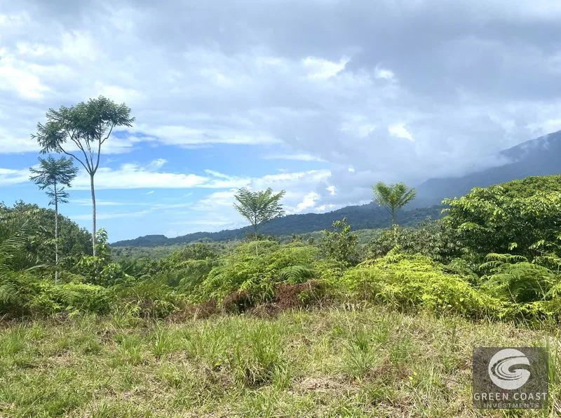 Sunset Ocean View Estate Lots in Ojochal: Ready-to-Build Dream Homes or Eco-Lodge — view 14, Costa Rica, Costa Rica