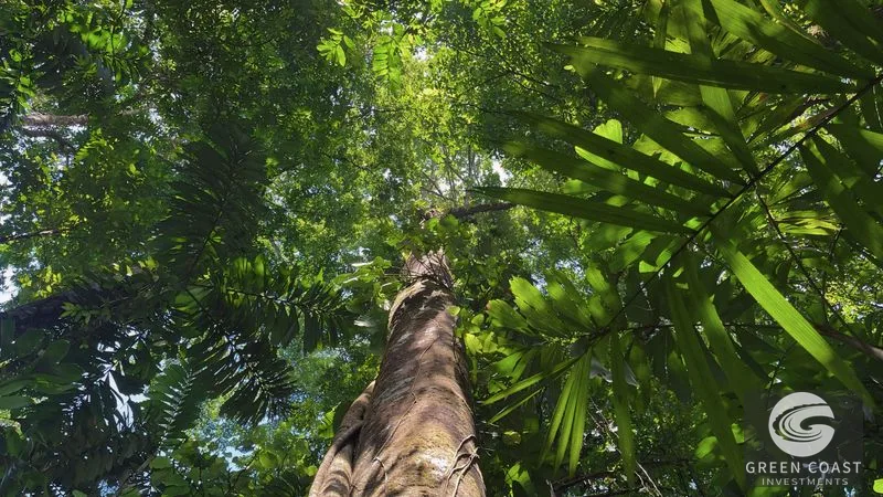 Uvita Ocean View Jungle Estate: 20+ Acres, Waterfalls & Private Building Sites near Cerro Del Tigre — view 5, Uvita, Costa Rica