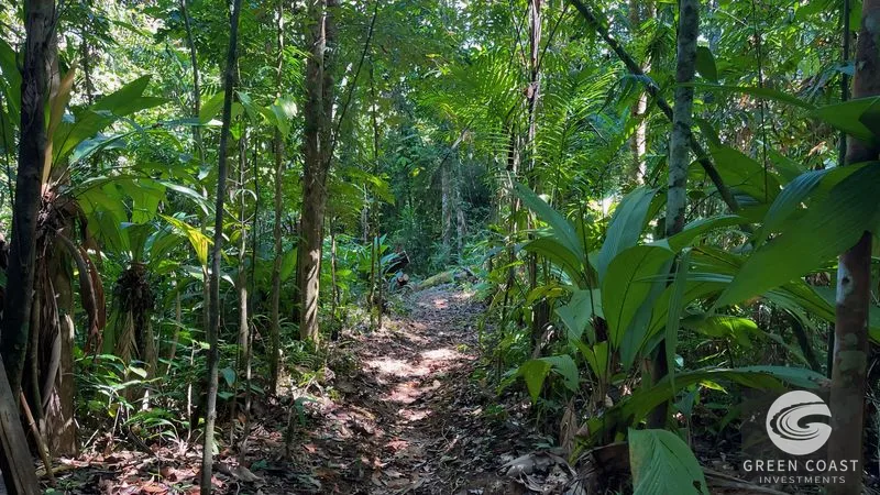 Uvita Ocean View Jungle Estate: 20+ Acres, Waterfalls & Private Building Sites near Cerro Del Tigre — view 6, Uvita, Costa Rica