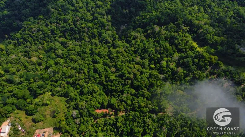 Uvita Ocean View Jungle Estate: 20+ Acres, Waterfalls & Private Building Sites near Cerro Del Tigre — view 14, Uvita, Costa Rica
