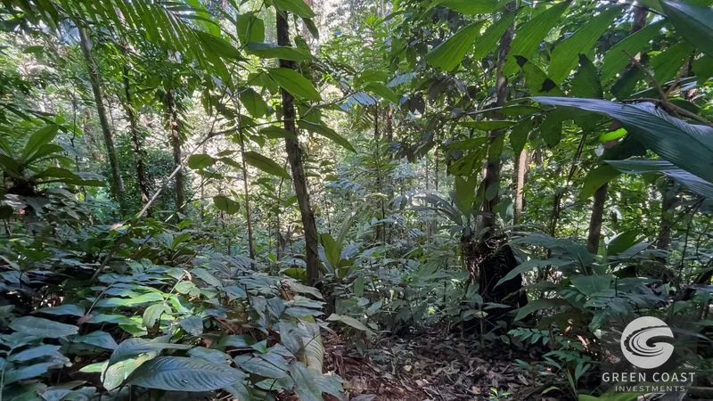 Uvita Ocean View Jungle Estate: 20+ Acres, Waterfalls & Private Building Sites near Cerro Del Tigre — view 15, Uvita, Costa Rica