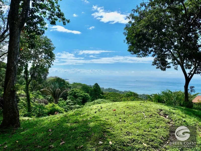 Panoramic Ocean View Lot in Uvita: 5,000 m² Near Playa Hermosa with Refreshing Breezes — view 8, Uvita, Bahia Ballena, Costa Rica
