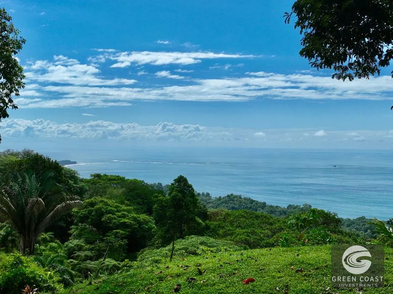 Panoramic Ocean View Lot in Uvita: 5,000 m² Near Playa Hermosa with Refreshing Breezes — view 9, Uvita, Bahia Ballena, Costa Rica