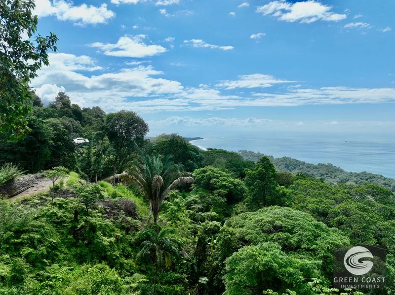 Panoramic Ocean View Lot in Uvita: 5,000 m² Near Playa Hermosa with Refreshing Breezes — view 10, Uvita, Bahia Ballena, Costa Rica