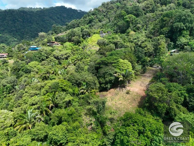 Panoramic Ocean View Lot in Uvita: 5,000 m² Near Playa Hermosa with Refreshing Breezes — view 12, Uvita, Bahia Ballena, Costa Rica