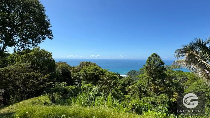 Panoramic Ocean View Lot in Uvita: 5,000 m² Near Playa Hermosa with Refreshing Breezes — view 14, Uvita, Bahia Ballena, Costa Rica
