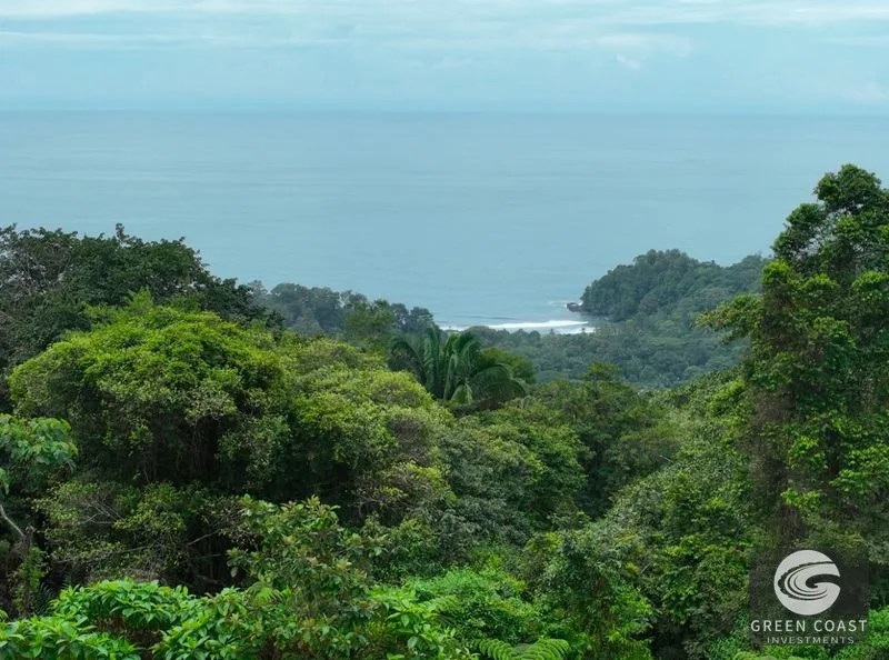 Panoramic Ocean View Lot in Uvita: 5,000 m² Near Playa Hermosa with Refreshing Breezes — view 15, Uvita, Bahia Ballena, Costa Rica