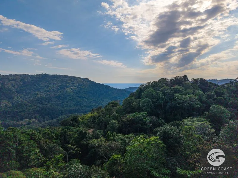 Sunset Ocean View Home on 2.6 Acres in Platanillo — view 13, Platanillo, Dominical, Costa Rica