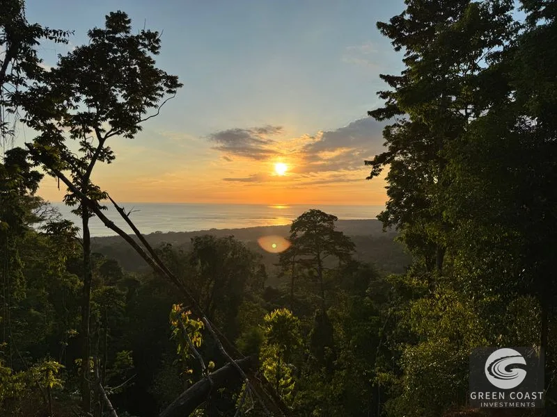 Premier Uvita Ocean View Lot: Primary Forest, Whale's Tail Views & Unmatched Privacy — view 3, Bahia Ballena, Costa Rica