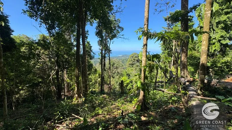 Premier Uvita Ocean View Lot: Primary Forest, Whale's Tail Views & Unmatched Privacy — view 4, Bahia Ballena, Costa Rica