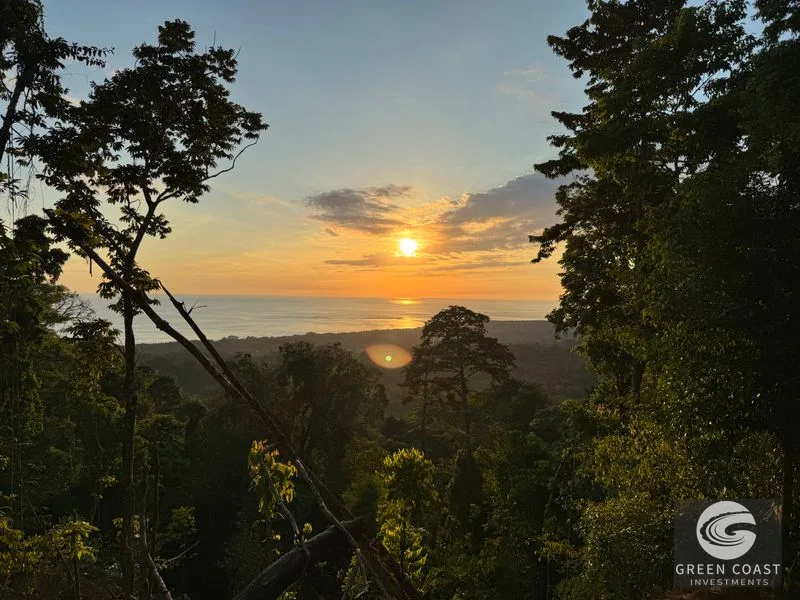 Premier Uvita Ocean View Lot: Primary Forest, Whale's Tail Views & Unmatched Privacy — view 6, Bahia Ballena, Costa Rica