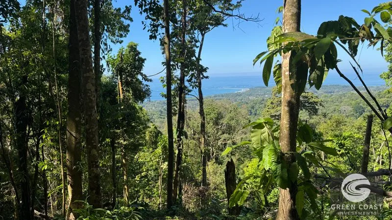 Premier Uvita Ocean View Lot: Primary Forest, Whale's Tail Views & Unmatched Privacy — view 9, Bahia Ballena, Costa Rica