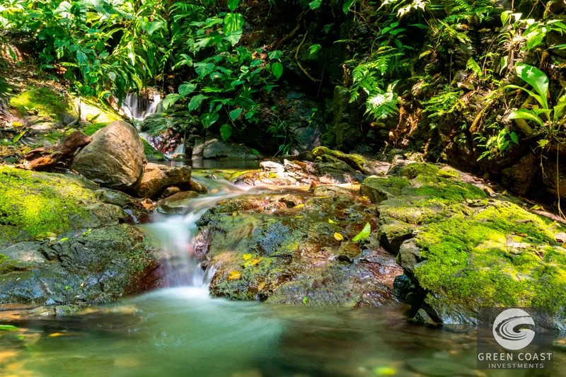 Lagunas Jungle Retreat: 11-Acre Estate with Villas, Trails & Panoramic Mountain Views Near Dominical — view 2, Bahía Ballena, Osa, Costa Rica