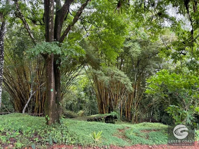 17.85-Acre Dominical Paradise with 2 Waterfalls & Development Potential — view 1, Calle Farallas, Baru, Costa Rica