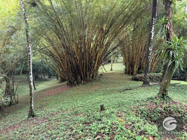 17.85-Acre Dominical Paradise with 2 Waterfalls & Development Potential — view 2, Calle Farallas, Baru, Costa Rica
