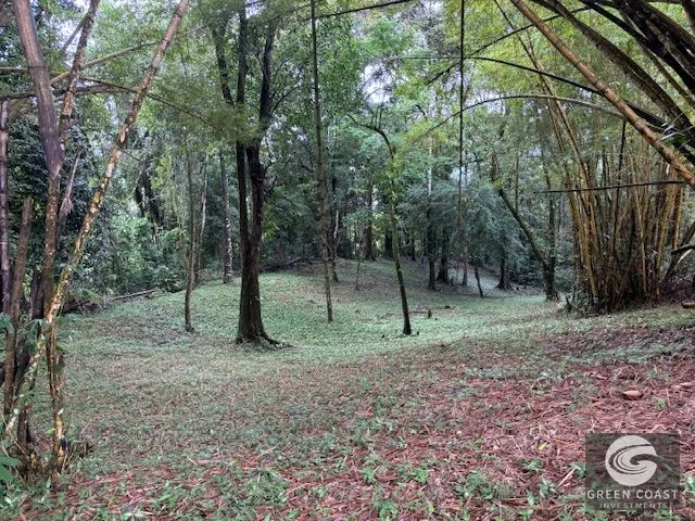 17.85-Acre Dominical Paradise with 2 Waterfalls & Development Potential — view 4, Calle Farallas, Baru, Costa Rica