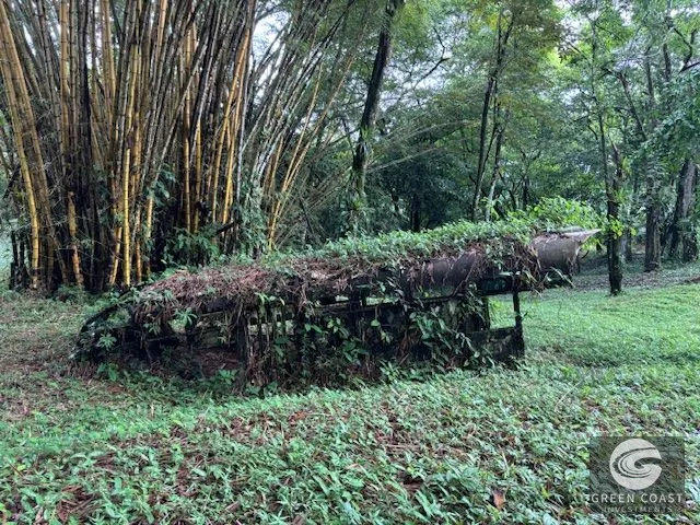 17.85-Acre Dominical Paradise with 2 Waterfalls & Development Potential — view 5, Calle Farallas, Baru, Costa Rica