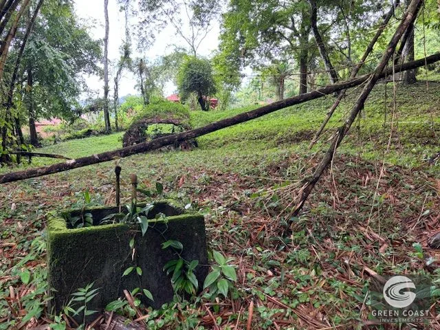 17.85-Acre Dominical Paradise with 2 Waterfalls & Development Potential — view 7, Calle Farallas, Baru, Costa Rica