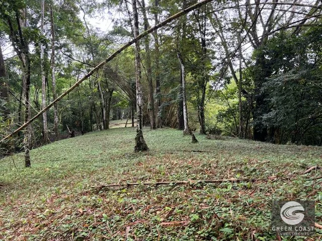 17.85-Acre Dominical Paradise with 2 Waterfalls & Development Potential — view 8, Calle Farallas, Baru, Costa Rica