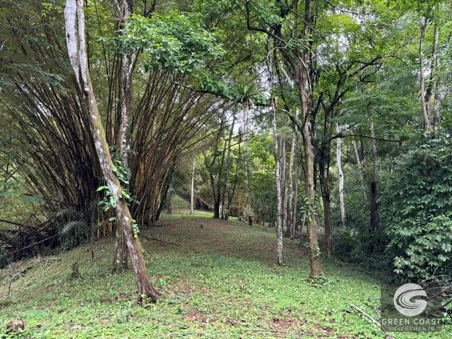 17.85-Acre Dominical Paradise with 2 Waterfalls & Development Potential — view 9, Calle Farallas, Baru, Costa Rica