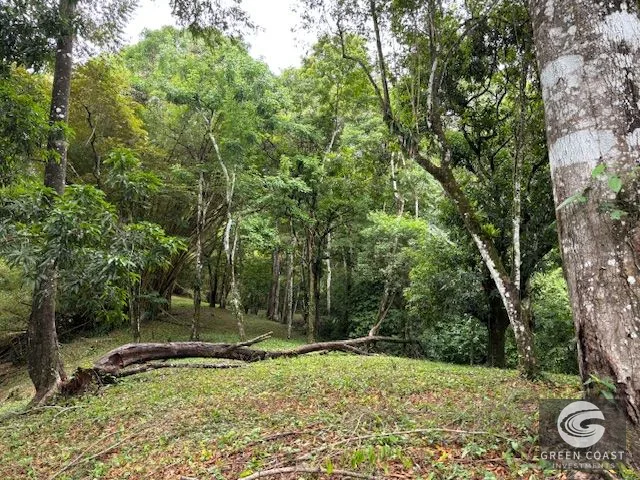 17.85-Acre Dominical Paradise with 2 Waterfalls & Development Potential — view 10, Calle Farallas, Baru, Costa Rica
