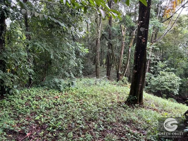 17.85-Acre Dominical Paradise with 2 Waterfalls & Development Potential — view 11, Calle Farallas, Baru, Costa Rica