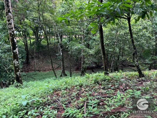 17.85-Acre Dominical Paradise with 2 Waterfalls & Development Potential — view 12, Calle Farallas, Baru, Costa Rica