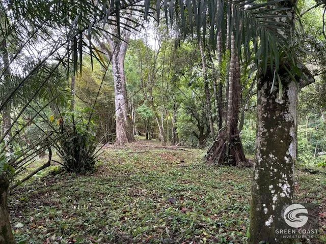 17.85-Acre Dominical Paradise with 2 Waterfalls & Development Potential — view 13, Calle Farallas, Baru, Costa Rica