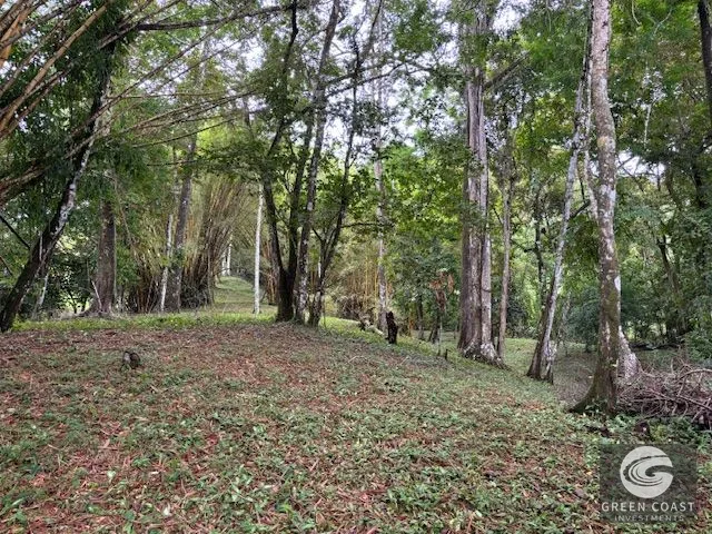 17.85-Acre Dominical Paradise with 2 Waterfalls & Development Potential — view 14, Calle Farallas, Baru, Costa Rica