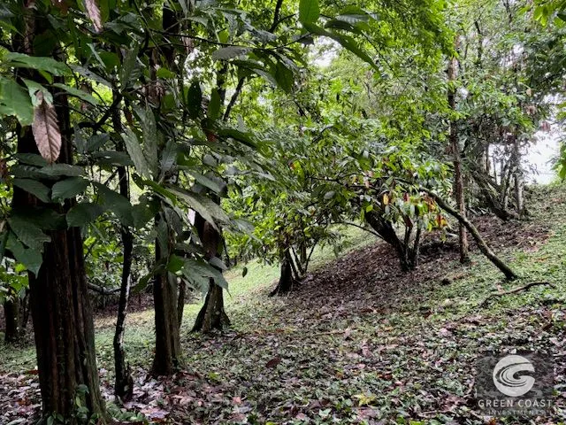 17.85-Acre Dominical Paradise with 2 Waterfalls & Development Potential — view 15, Calle Farallas, Baru, Costa Rica