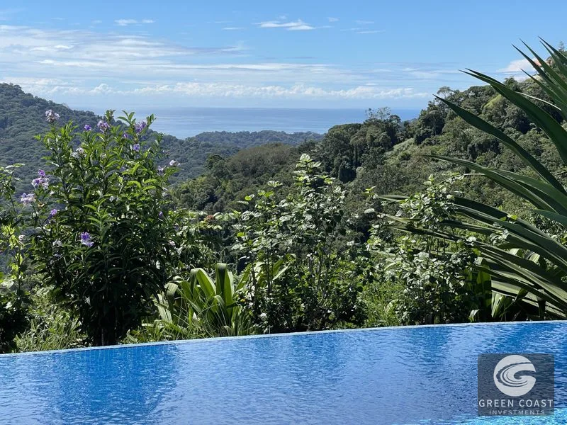Ocean View Estate: 2-BR Home, Infinity Pool, Guest House & Fruit Orchards on 5.2 Acres — view 6, Platanillo, Platanillo, Costa Rica